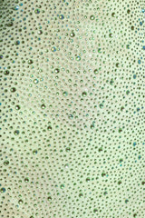 Cassiopeia-Embellished Fishtail Maxi Dress in Pistachio