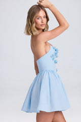 Augusta-Halterneck Floral-Appliqué Corset Mini Dress in Powder Blue