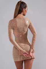 Zeta-Sheer Embellished Long Sleeve A-Line Mini Dress in Almond